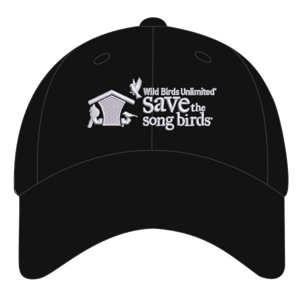 Save the Songbirds Embroidered - Brushed Twill Low Profile Cap Thumbnail